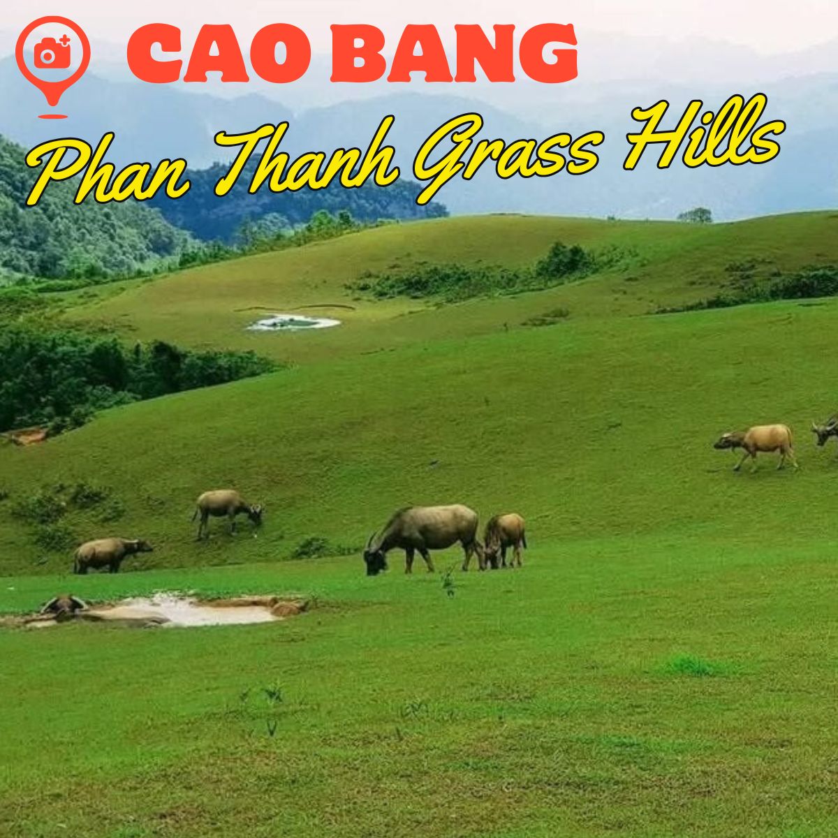 Phan Thanh Grass Hills