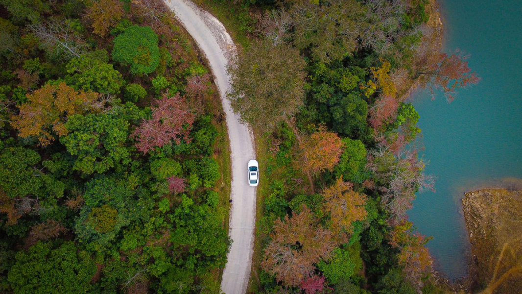 Maple tree colors transform landscape in northern Vietnam district - VnExpress International