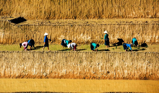 Hoang Su Phi terraced fields