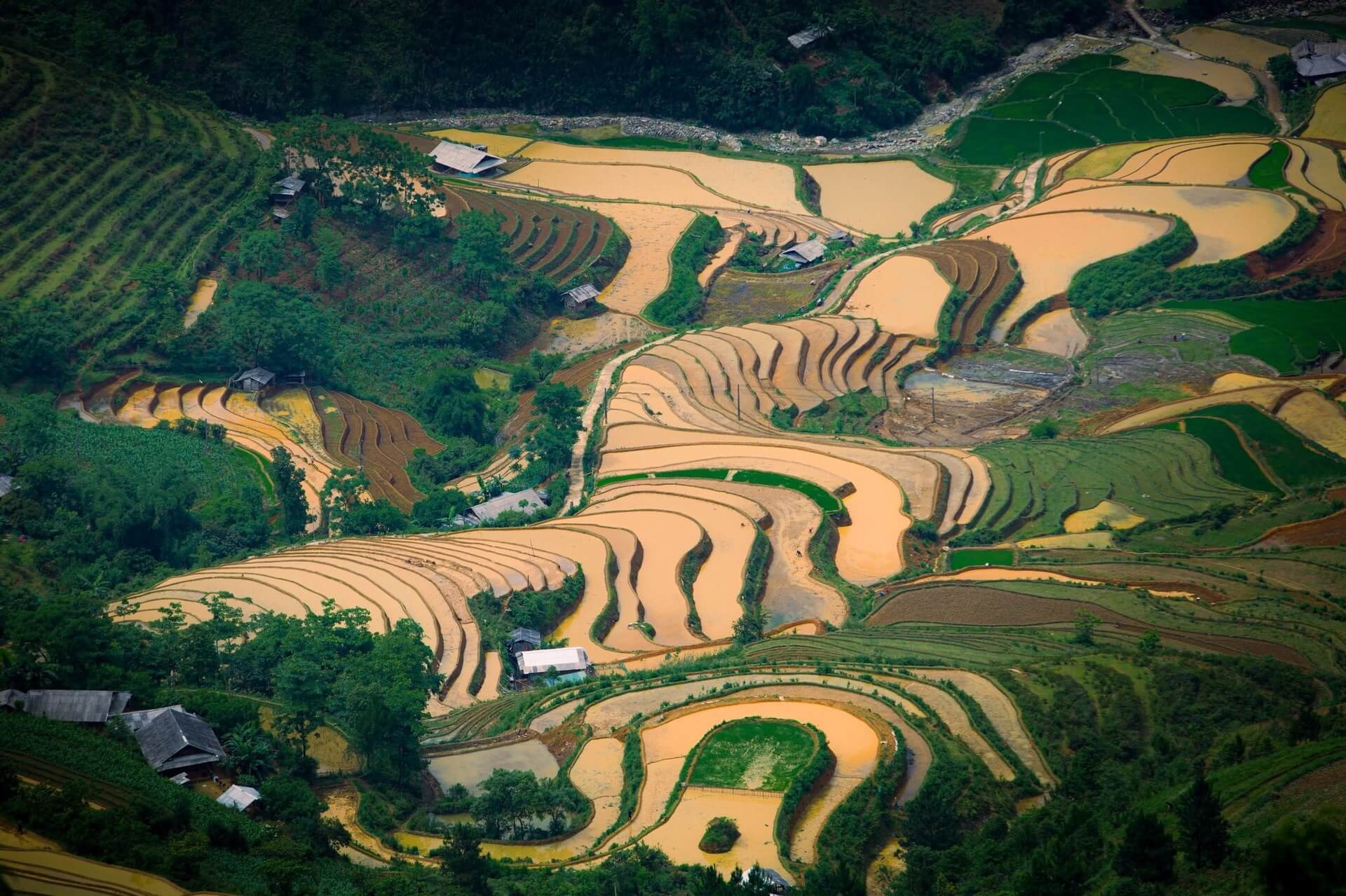Mu Cang Chai Photo Album – Flooded Season Highlights