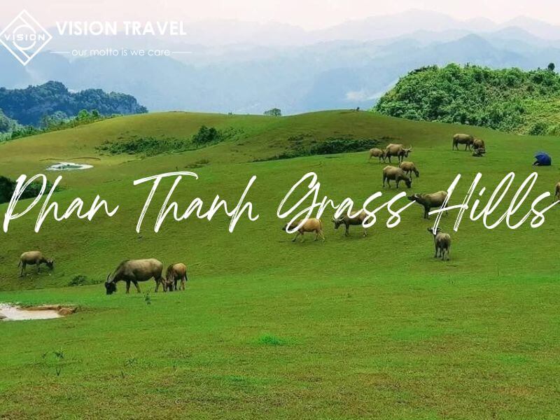 Phan Thanh Grass Hills - A Hidden Gem in the Heart of Cao Bang