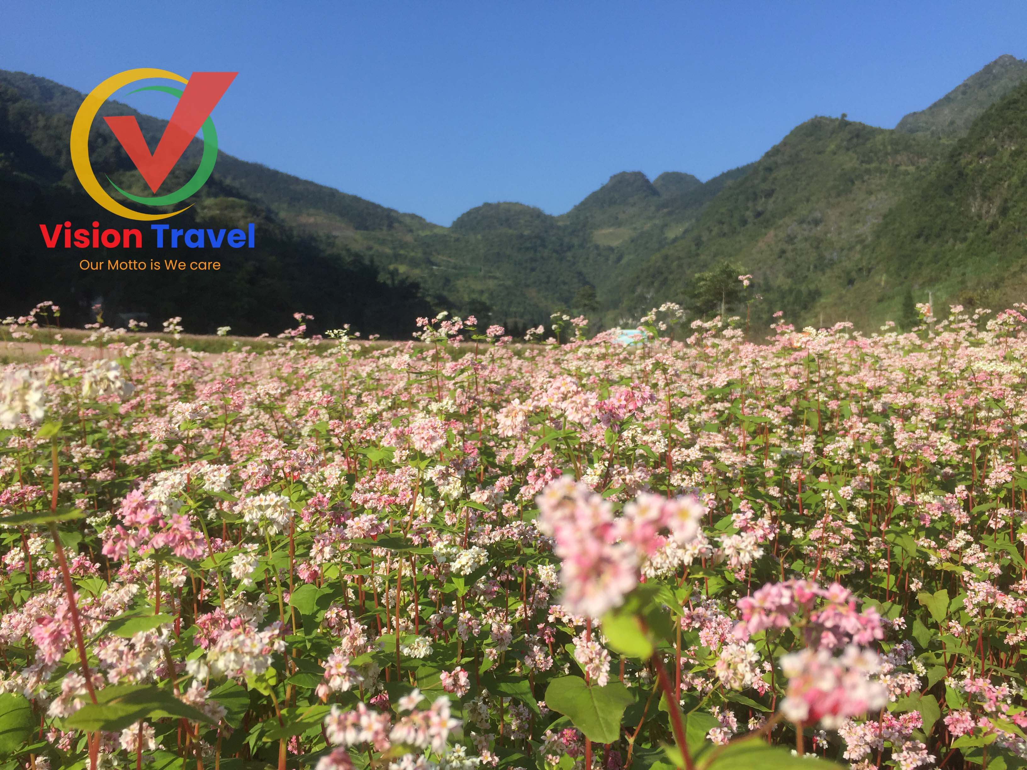 Nam Dam village - Lung Cu village6-day by vehicle Captivating Ha Giang tour (Home stay, Trekking, Market)