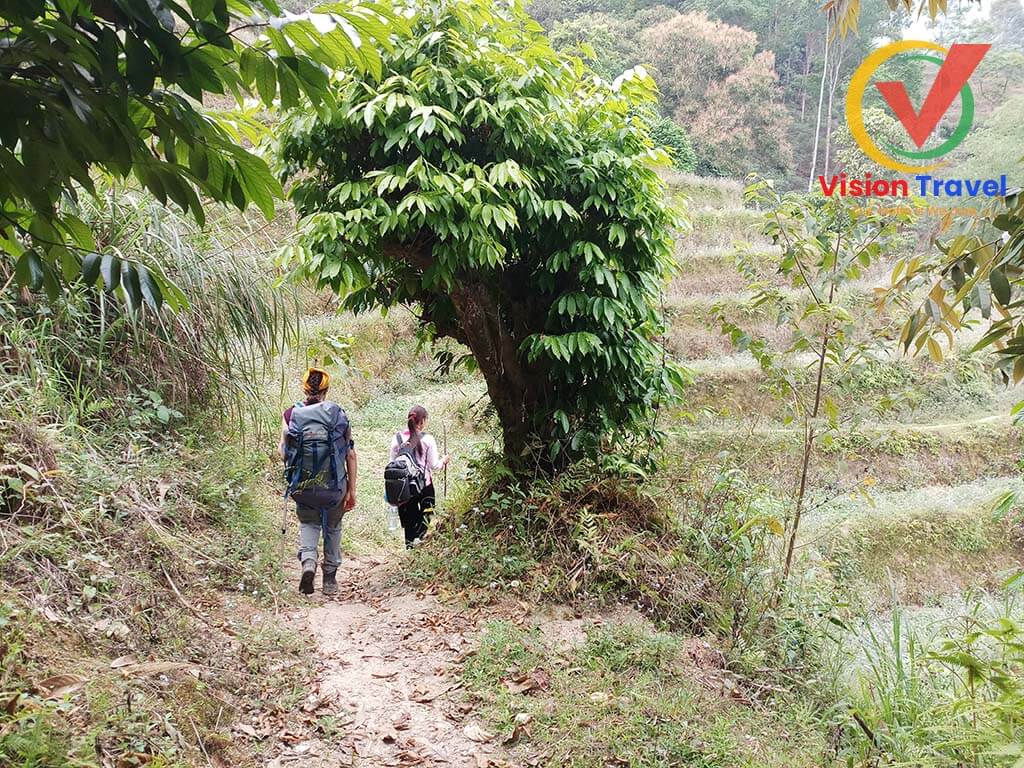 Tan Phong village - Ban Luoc village - Hanoi4 Days Trekking in Hoang Su Phi - Ha Giang - Northern Vietnam