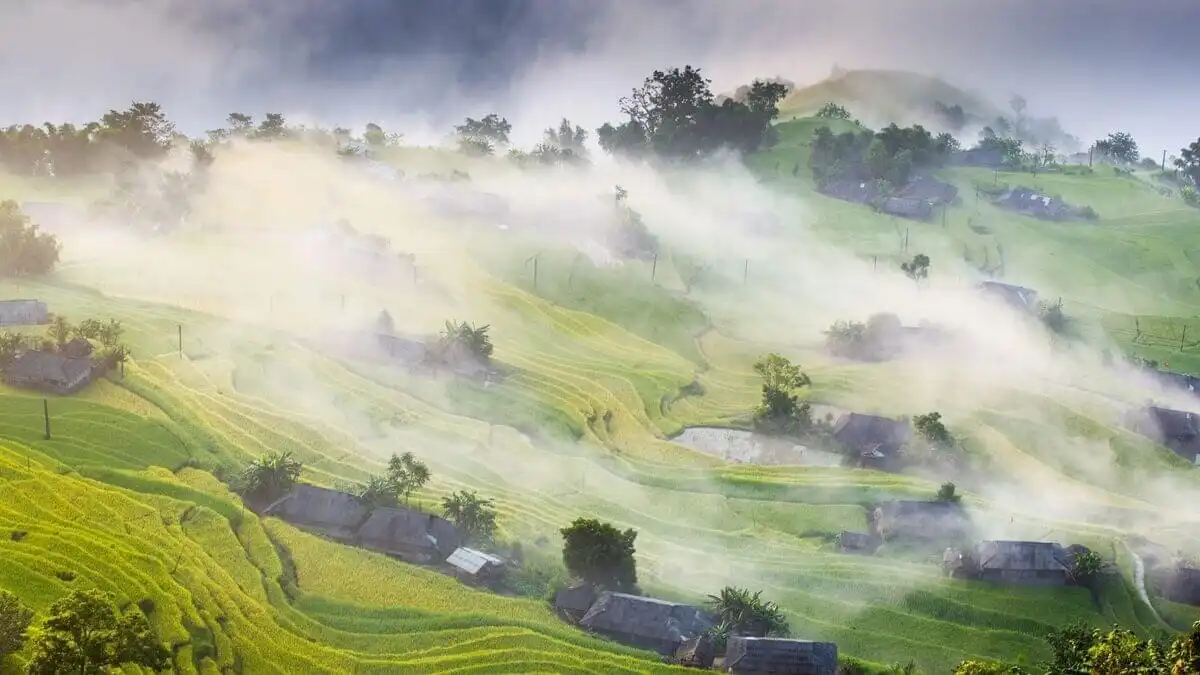 Ban Phung Terraced Fields