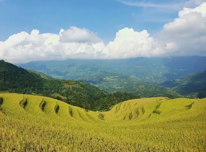Nam Hong Village: A Glimpse into Red Dao Culture