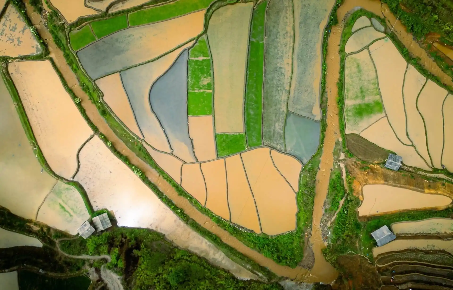 Mu Cang Chai Flooded Season – Best Time to See Vietnam’s Stunning Terraced Fields