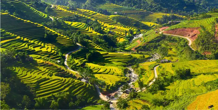 Hoang Su Phi